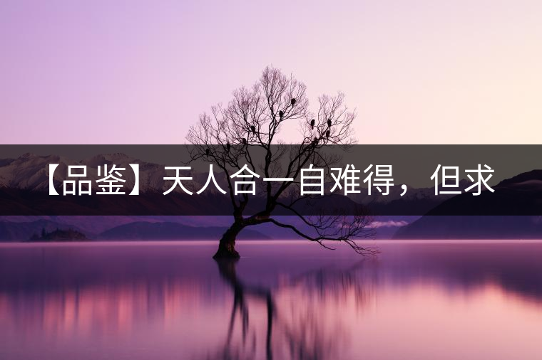 【品鑒】天人合一自難得，但求得茶之本味