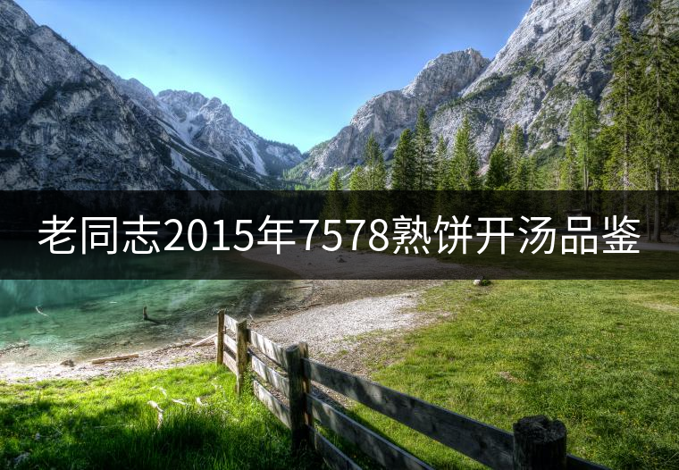 老同志2015年7578熟餅開(kāi)湯品鑒