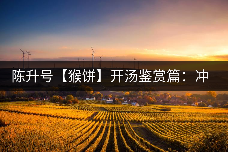 陳升號(hào)【猴餅】開湯鑒賞篇：沖泡【猴餅】有哪些需要注意的