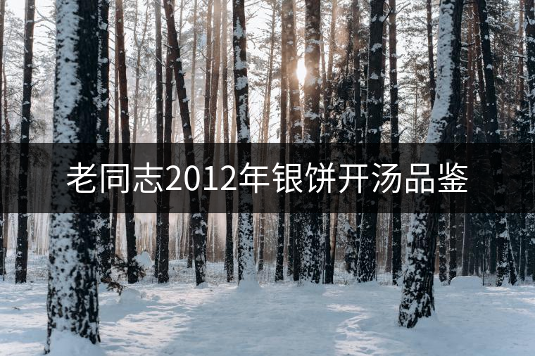 老同志2012年銀餅開湯品鑒 老同志2012年銀餅開湯品鑒