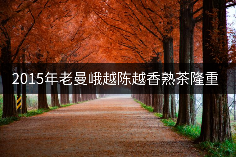 2015年老曼峨越陳越香熟茶隆重上市！