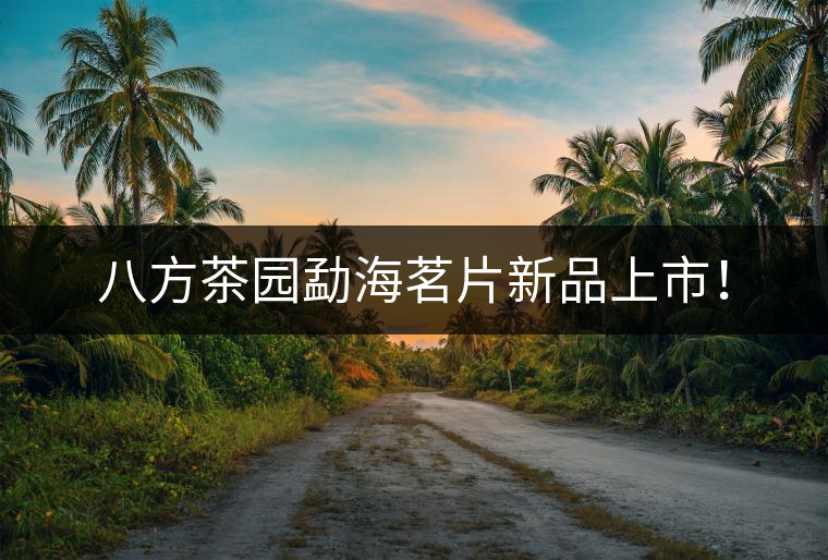 八方茶園勐海茗片新品上市！