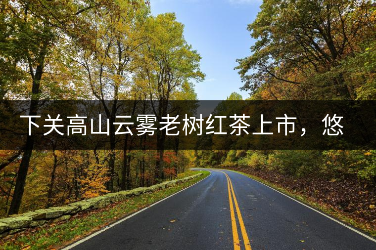 下關(guān)高山云霧老樹紅茶上市，悠悠春茶香