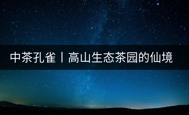 中茶孔雀丨高山生態(tài)茶園的仙境氣息