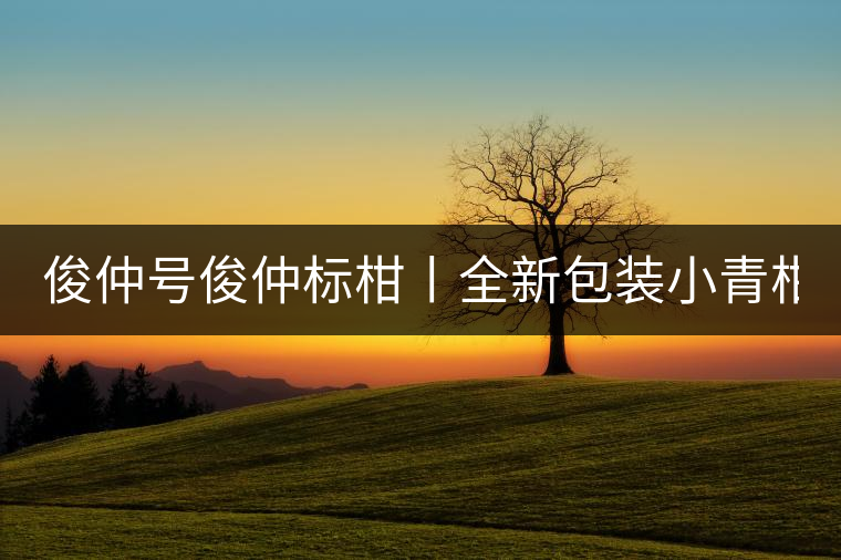 俊仲號(hào)俊仲標(biāo)柑丨全新包裝小青柑震撼上市！