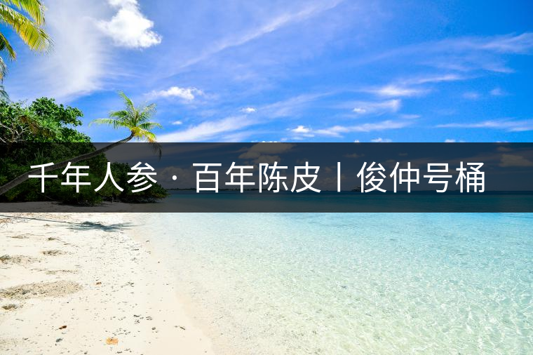 千年人參 · 百年陳皮丨俊仲號桶裝柑普茶豈止于大！