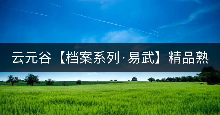 云元谷【檔案系列·易武】精品熟茶，精裝上市！
