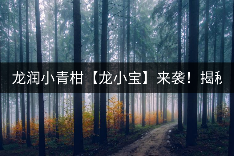 龍潤小青柑【龍小寶】來襲！揭秘它的前半生！