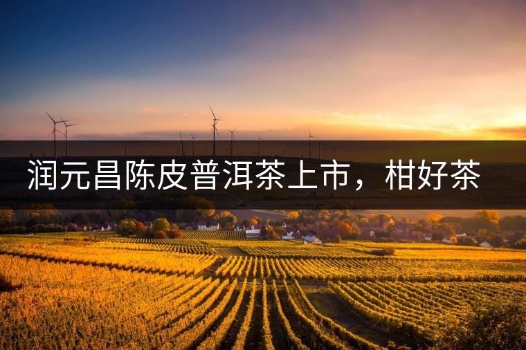 潤元昌陳皮普洱茶上市，柑好茶更好，精品普洱茶