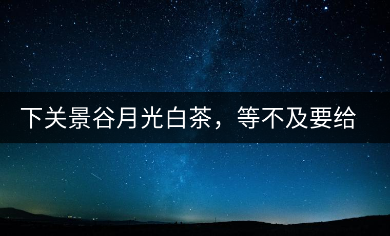 下關(guān)景谷月光白茶，等不及要給你的思念