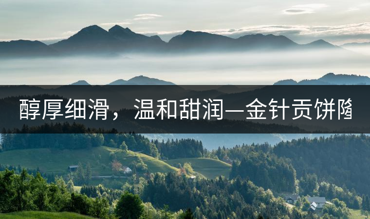 醇厚細(xì)滑，溫和甜潤(rùn)—金針貢餅隆重上市！