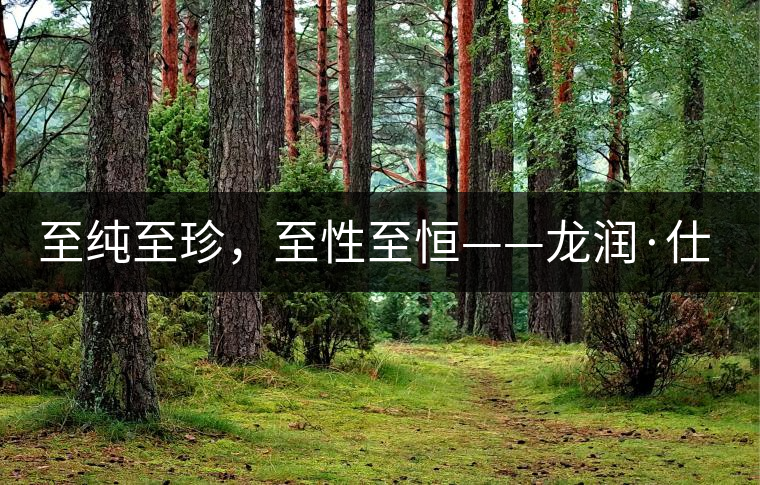 至純至珍，至性至恒——龍潤·仕通茶新上市！