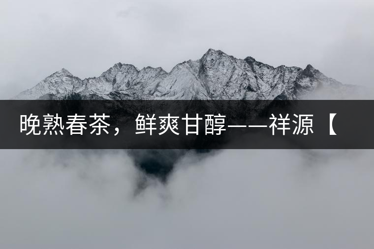 晚熟春茶，鮮爽甘醇——祥源【政和大白】清鮮上市