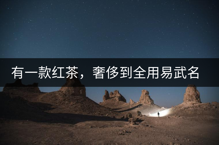 有一款紅茶，奢侈到全用易武名寨古樹茶發(fā)酵！