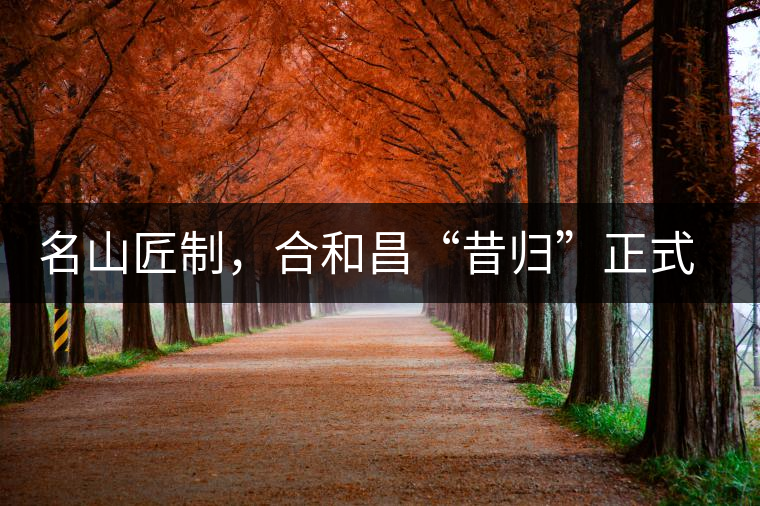 名山匠制，合和昌“昔歸”正式上市