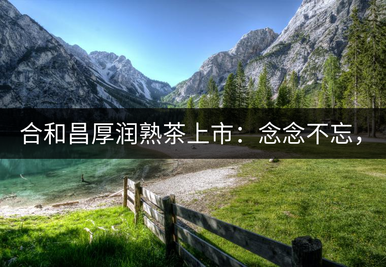 合和昌厚潤熟茶上市：念念不忘，必有回響！