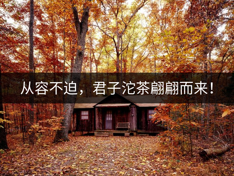 從容不迫，君子沱茶翩翩而來(lái)！