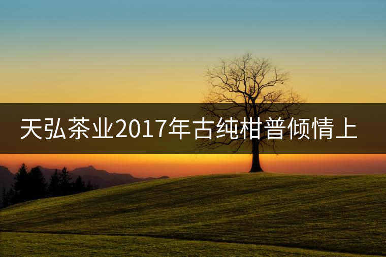 天弘茶業(yè)2017年古純柑普傾情上市