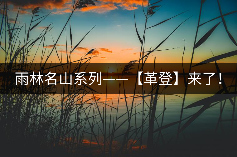 雨林名山系列——【革登】來了！