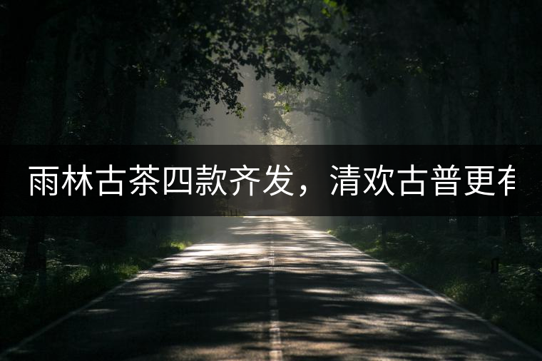 雨林古茶四款齊發(fā)，清歡古普更有味！
