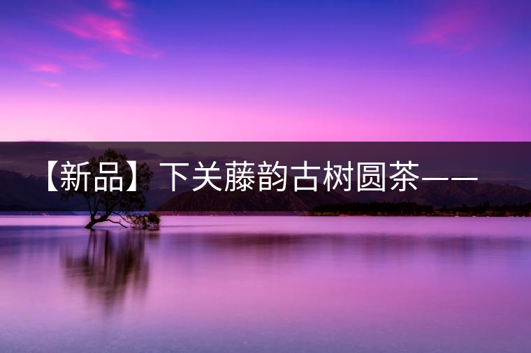 【新品】下關(guān)藤韻古樹(shù)圓茶——“千手觀(guān)音”臨世之風(fēng)骨 【新品】下關(guān)藤韻古樹(shù)圓茶——“千手觀(guān)音”臨世之風(fēng)骨