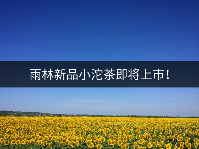 雨林新品小沱茶即將上市！