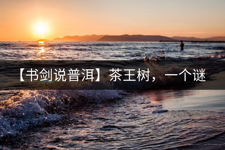 【書劍說(shuō)普洱】茶王樹，一個(gè)謎一樣的地方