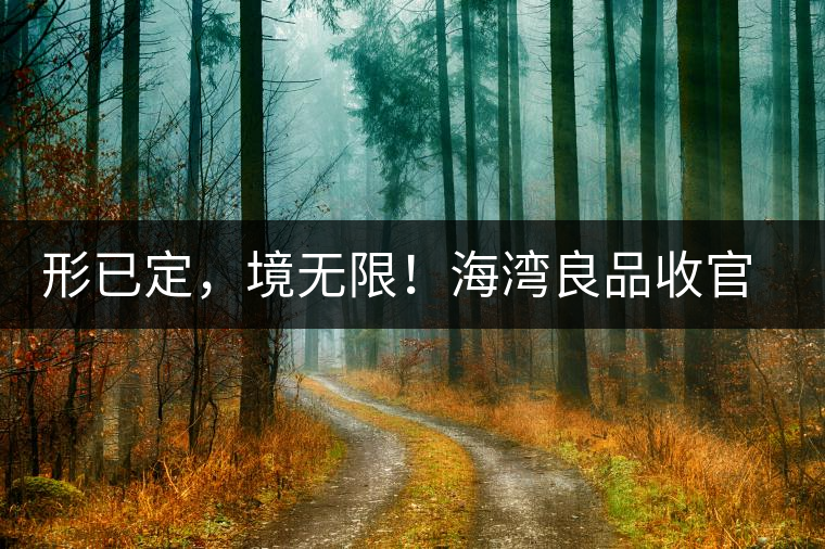 形已定，境無限！海灣良品收官季『良禪品』