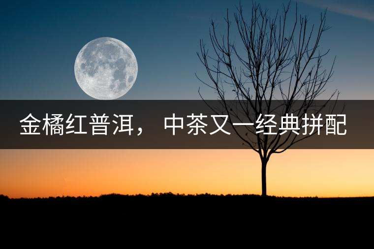 金橘紅普洱， 中茶又一經(jīng)典拼配力作，值得期待！