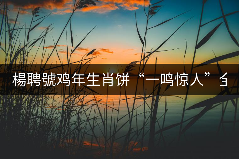 楊聘號(hào)雞年生肖餅“一鳴驚人”全國(guó)上市！