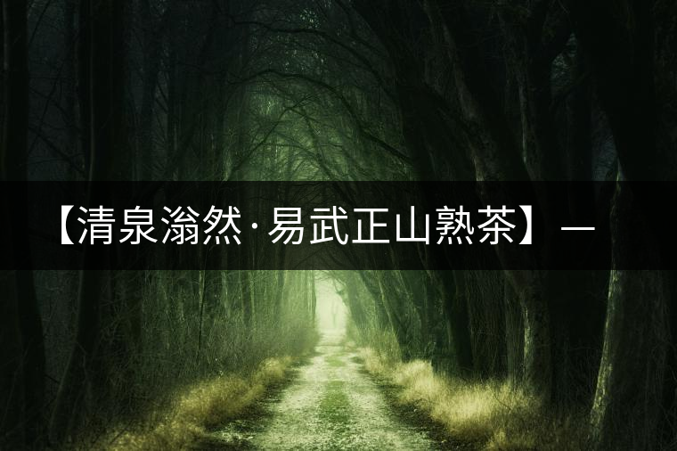 【清泉滃然·易武正山熟茶】——熨帖冬季的寒冷，來的正是時候！
