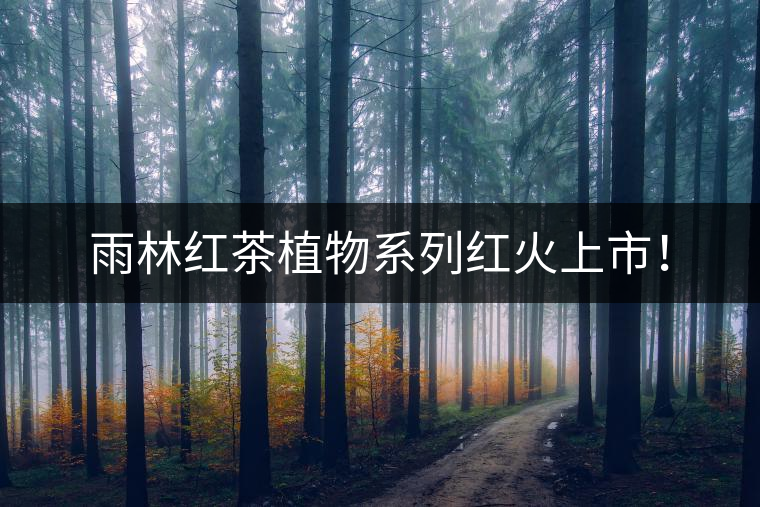 雨林紅茶植物系列紅火上市！