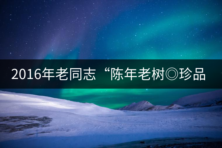 2016年老同志“陳年老樹◎珍品普洱”隆重上市！