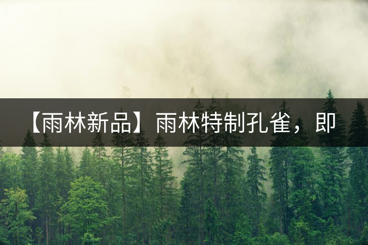 【雨林新品】雨林特制孔雀，即將妙態(tài)綻放