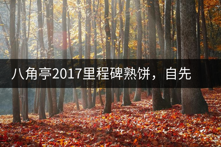 八角亭2017里程碑熟餅，自先發(fā)酵而后愛人