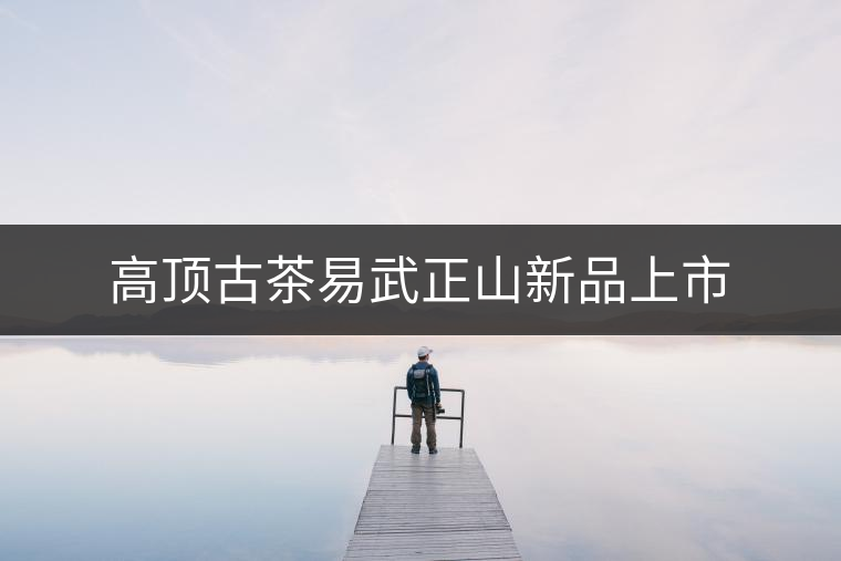 高頂古茶易武正山新品上市