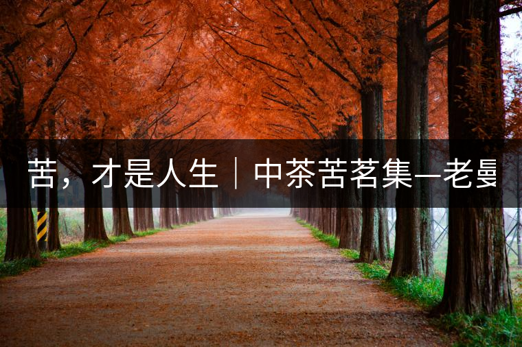 苦，才是人生｜中茶苦茗集—老曼峨普洱茶（生茶）