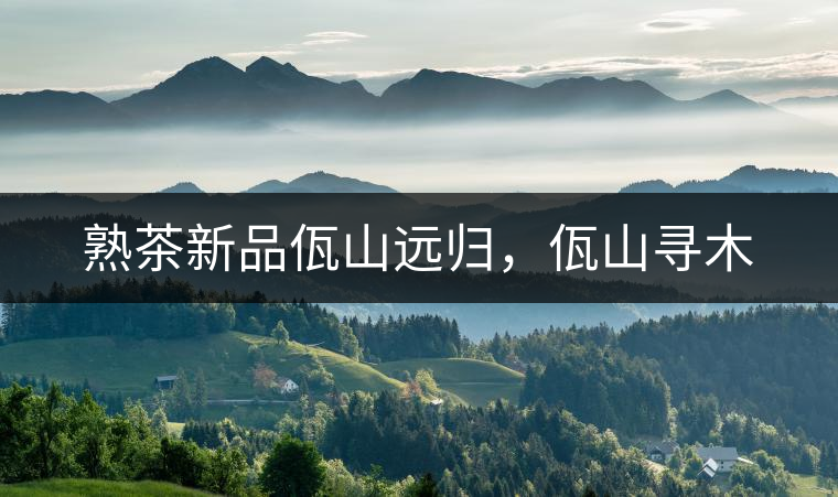 熟茶新品佤山遠(yuǎn)歸，佤山尋木