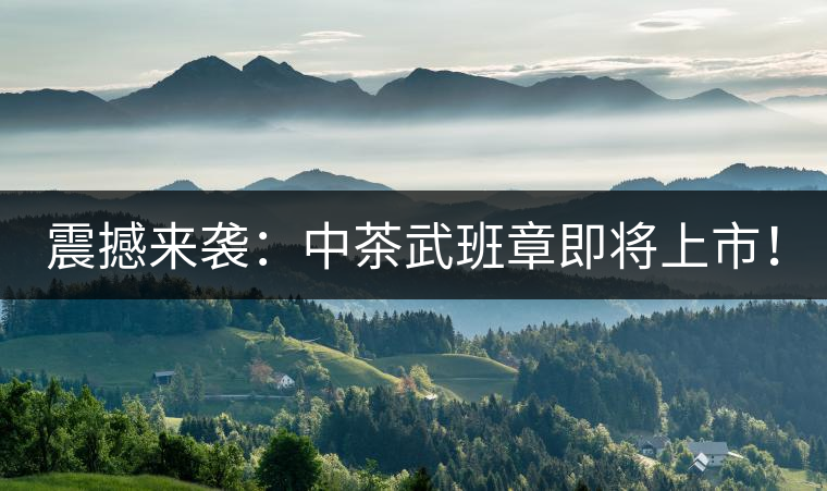 震撼來(lái)襲：中茶武班章即將上市！