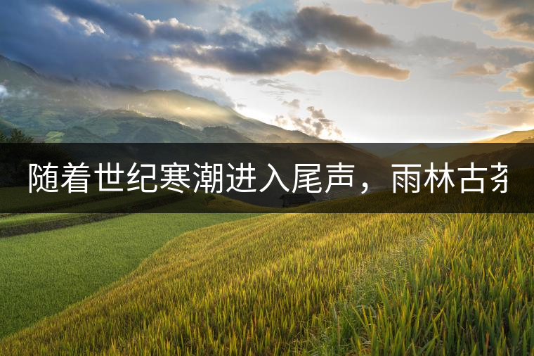 隨著世紀(jì)寒潮進(jìn)入尾聲，雨林古茶坊