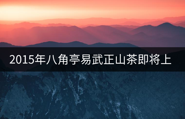 2015年八角亭易武正山茶即將上市