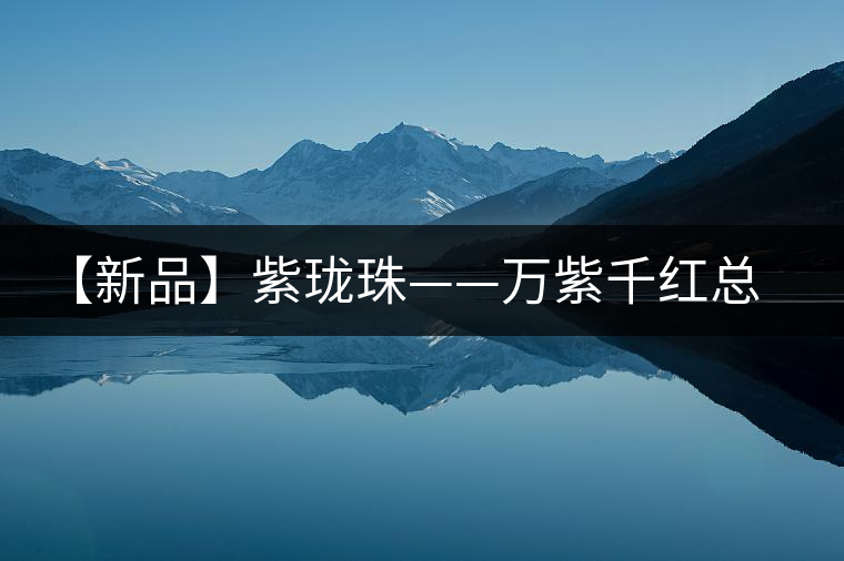 【新品】紫瓏珠——萬(wàn)紫千紅總為秋 【新品】紫瓏珠——萬(wàn)紫千紅總為秋