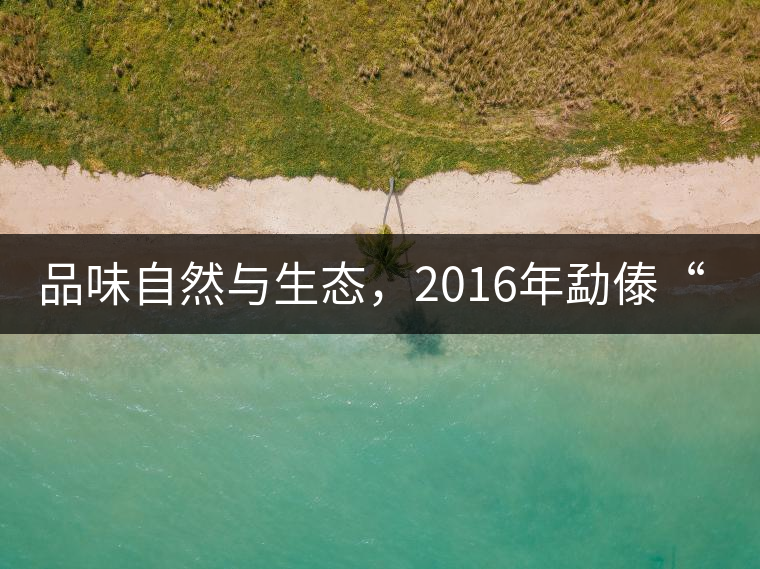 品味自然與生態(tài)，2016年勐傣“大雪山古樹(shù)茶”