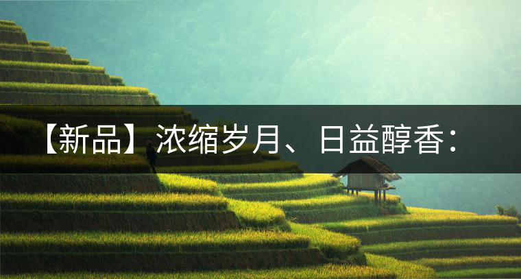 【新品】濃縮歲月、日益醇香：陳臻號陳品熟餅即將上市！