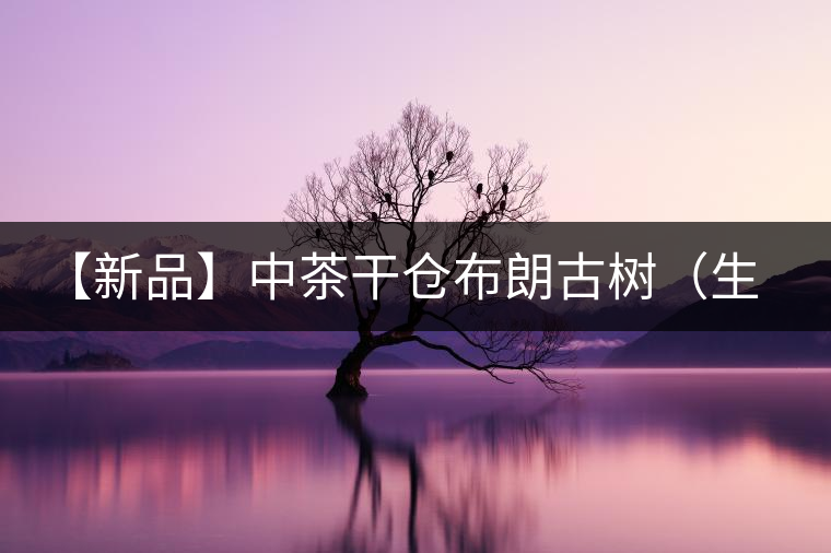 【新品】中茶干倉(cāng)布朗古樹(shù)（生茶）—（電商專(zhuān)供） 上市