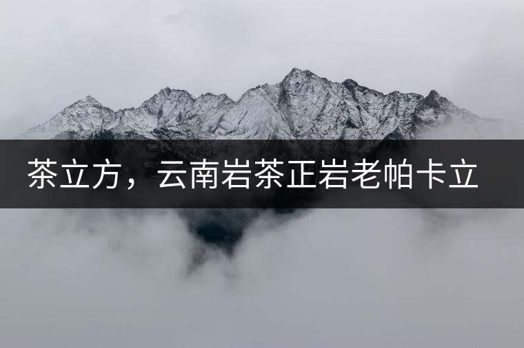 茶立方，云南巖茶正巖老帕卡立方磚今日芳香出爐