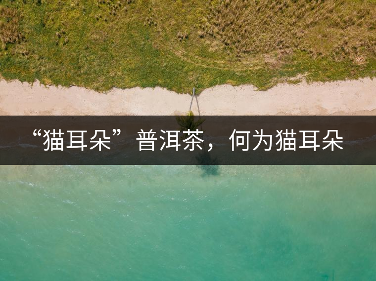 “貓耳朵”普洱茶，何為貓耳朵？