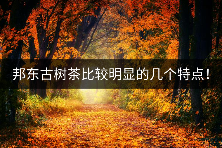 邦東古樹茶比較明顯的幾個特點(diǎn)！