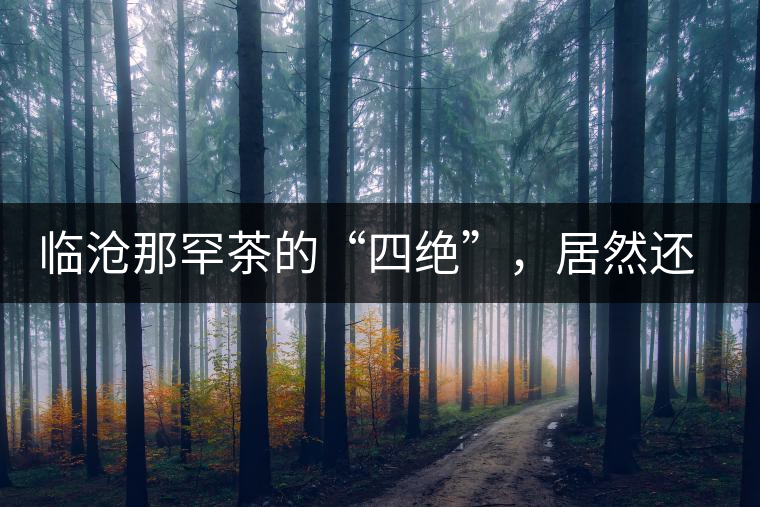 臨滄那罕茶的“四絕”，居然還沒說到它的品質(zhì)