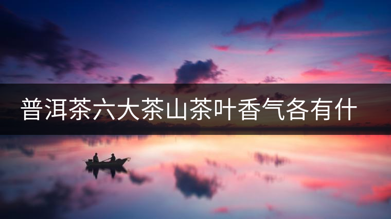 普洱茶六大茶山茶葉香氣各有什么特點(diǎn)？